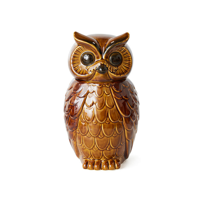 Ceramic Owl Jar, hkliving