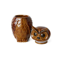 Ceramic Owl Jar, hkliving