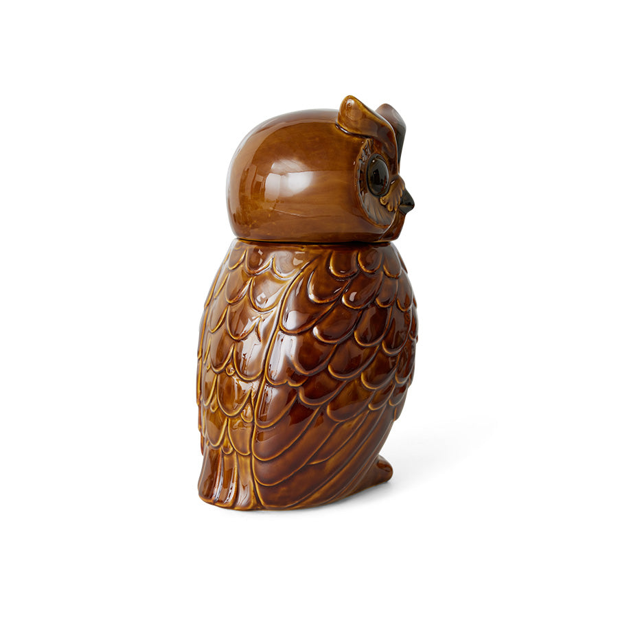 Ceramic Owl Jar, hkliving