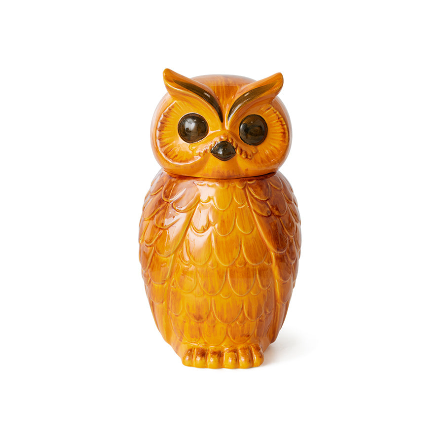 Ceramic Owl Jar, hkliving