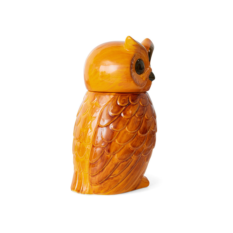 Ceramic Owl Jar, hkliving