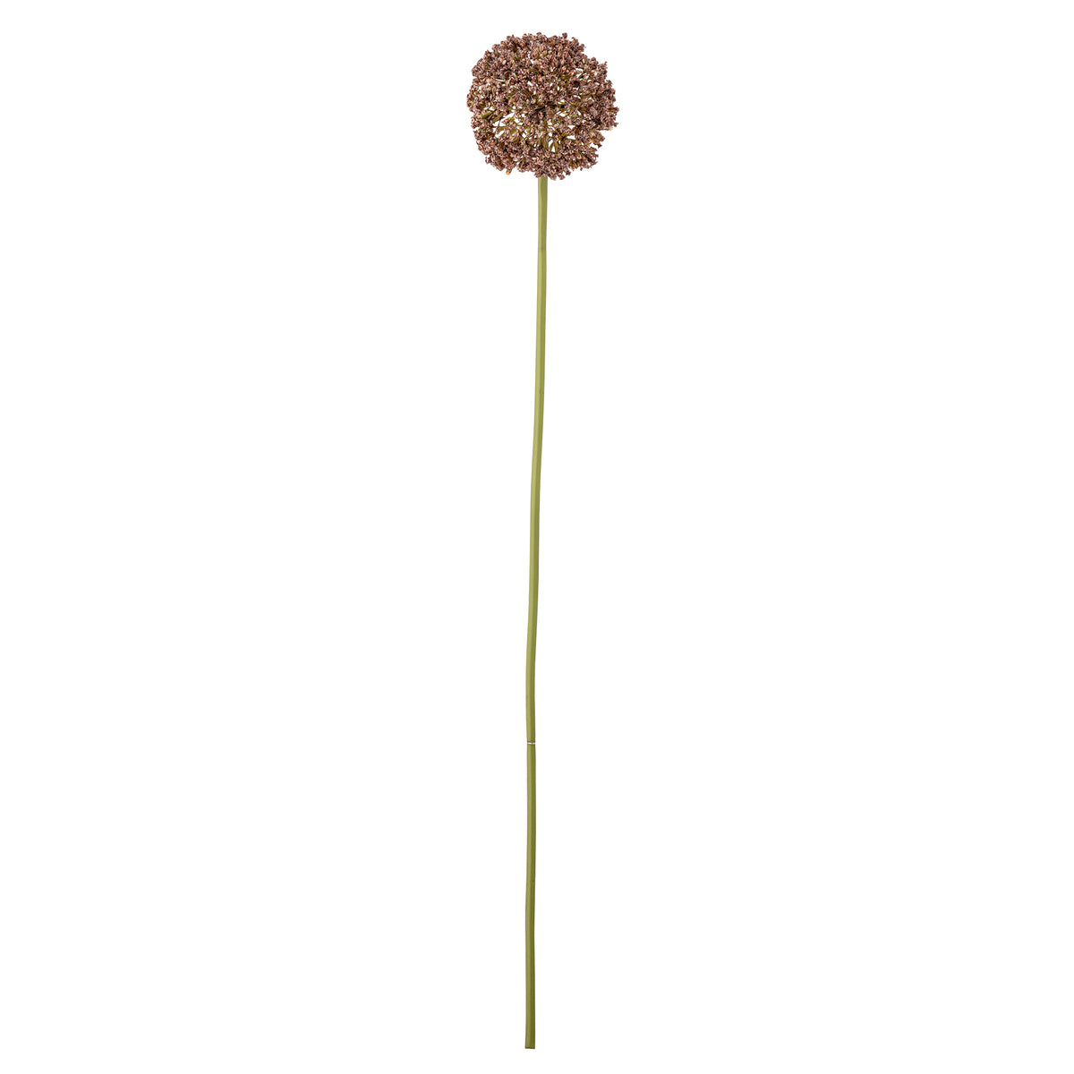 Artificial allium stem in brown by Bloomingville
