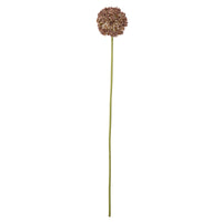 Artificial allium stem in brown by Bloomingville