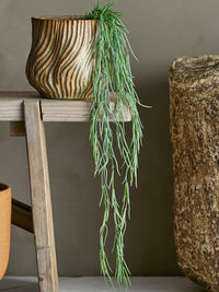 Artificial tilandsia hanging plant in green by Bloomingville