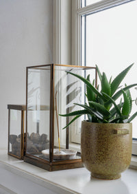 olive stoneware plant pot styled on windowsill beside glass lanterns
