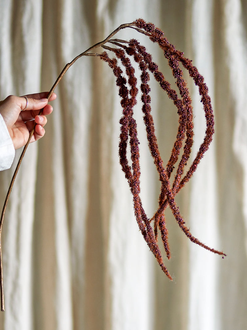 Foxtail artificial stems in red and green tones held in hand
