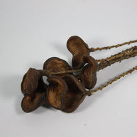 Close-up of the open almond shells on the dried twigs by Olsson & Jensen