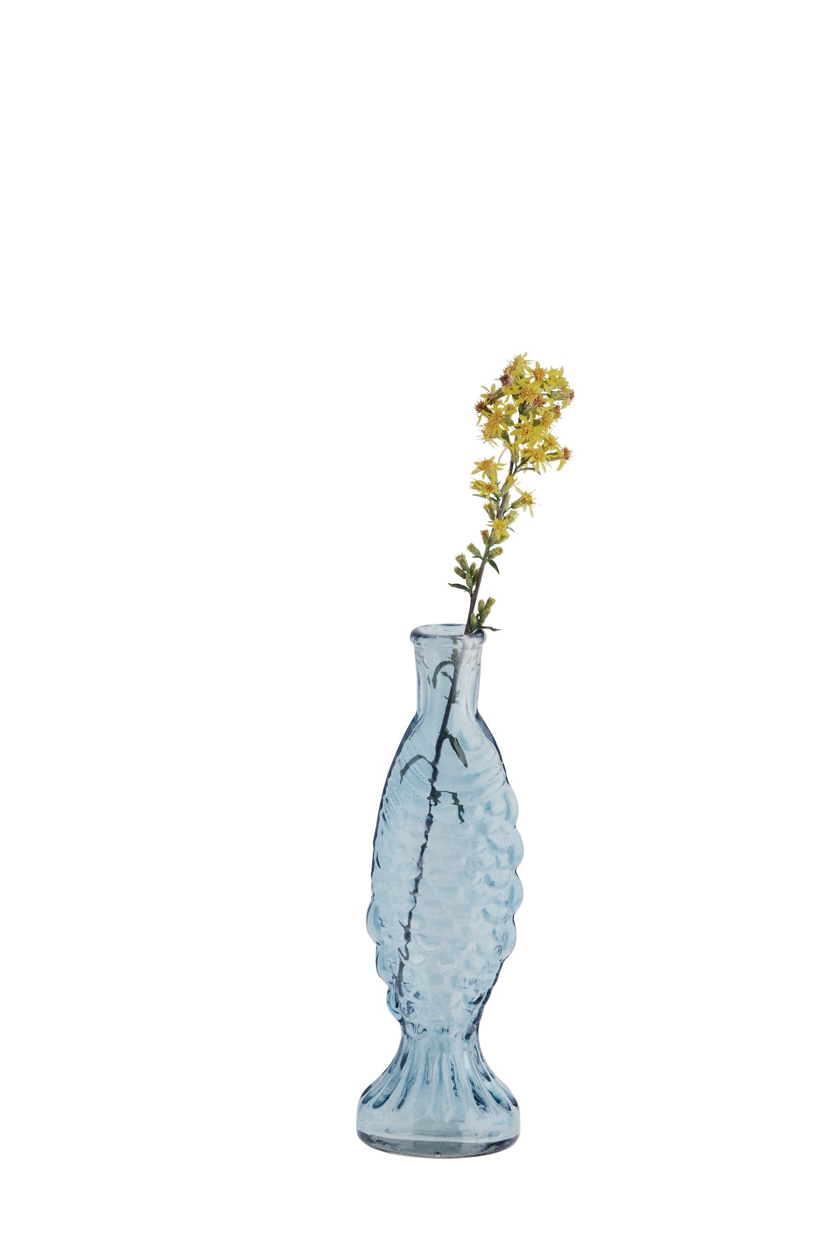 Decorative vase with fish pattern containing a small plant on a white background