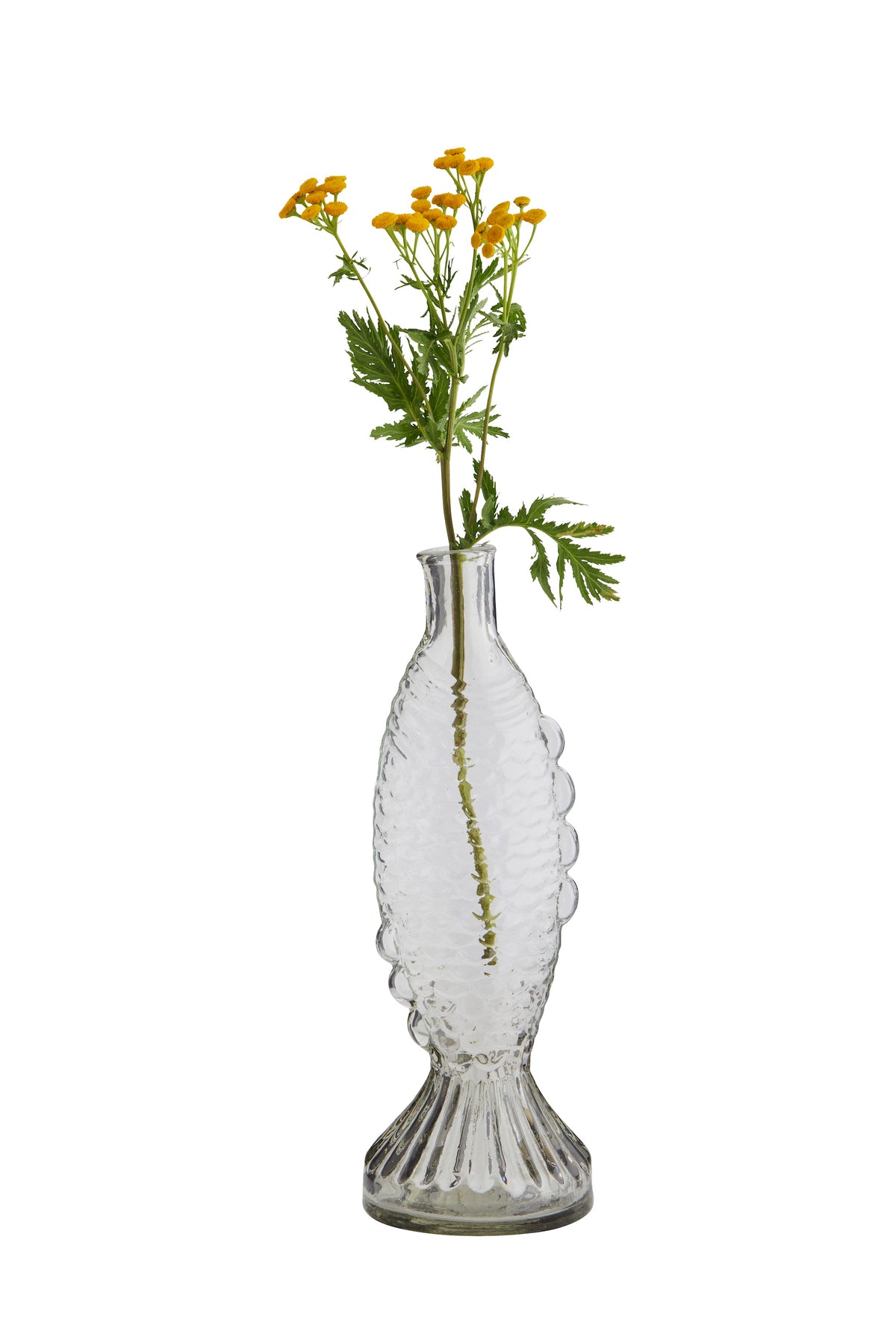 clear fish glass vase with sculptural scale texture styled with flowers