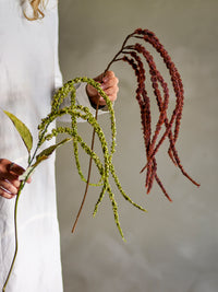 Brown cascading foxtail stems paired with artichoke flower