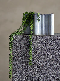 Faux trailing pearl plant styled in ceramic pot