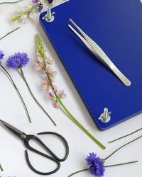Close-up of blue press board with scissors and tweezers