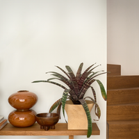 Foss vase on a wooden bench beside potted plants