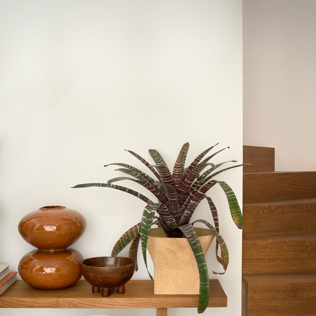Foss vase on a wooden bench beside potted plants