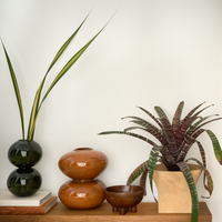 Foss vase styled on a low bench with plants and a dark green vase