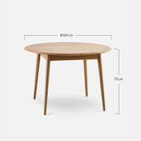 Dimensions drawing of the Fox Round Dining Table 110 by 366 Concept