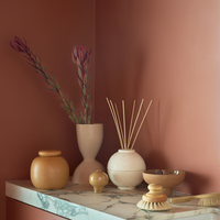 Kiri diffuser holder with reeds styled against a terracotta wall with vases