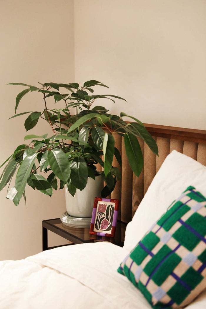 Red and lilac square photo frame adding a cheerful accent to a bedside vignette.