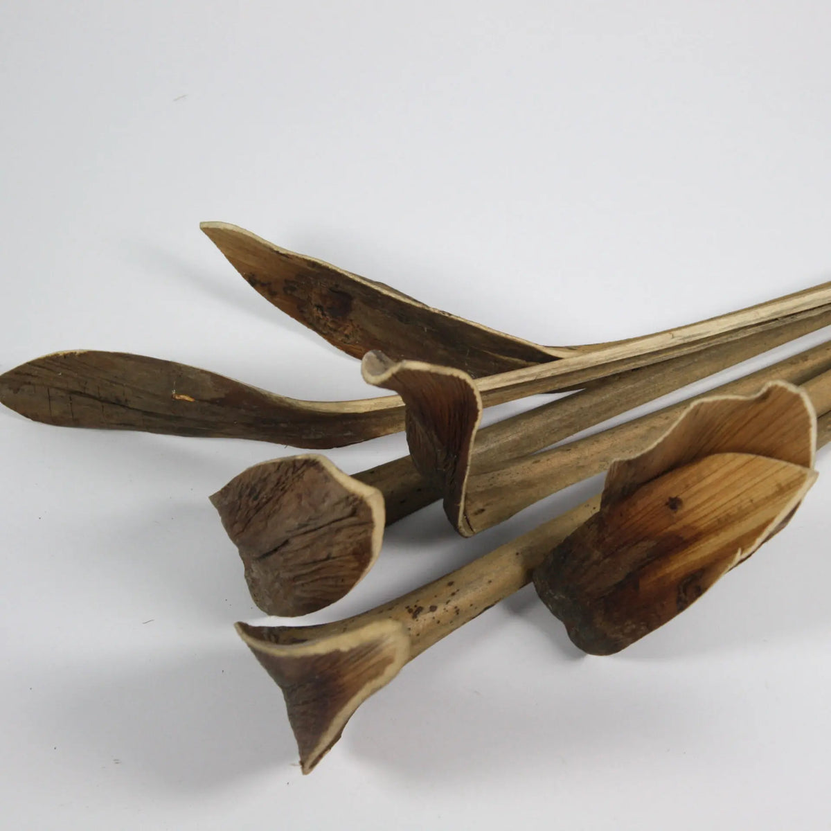 Close-up of the curved tips on the Shoehorn twig stems by Olsson & Jensen