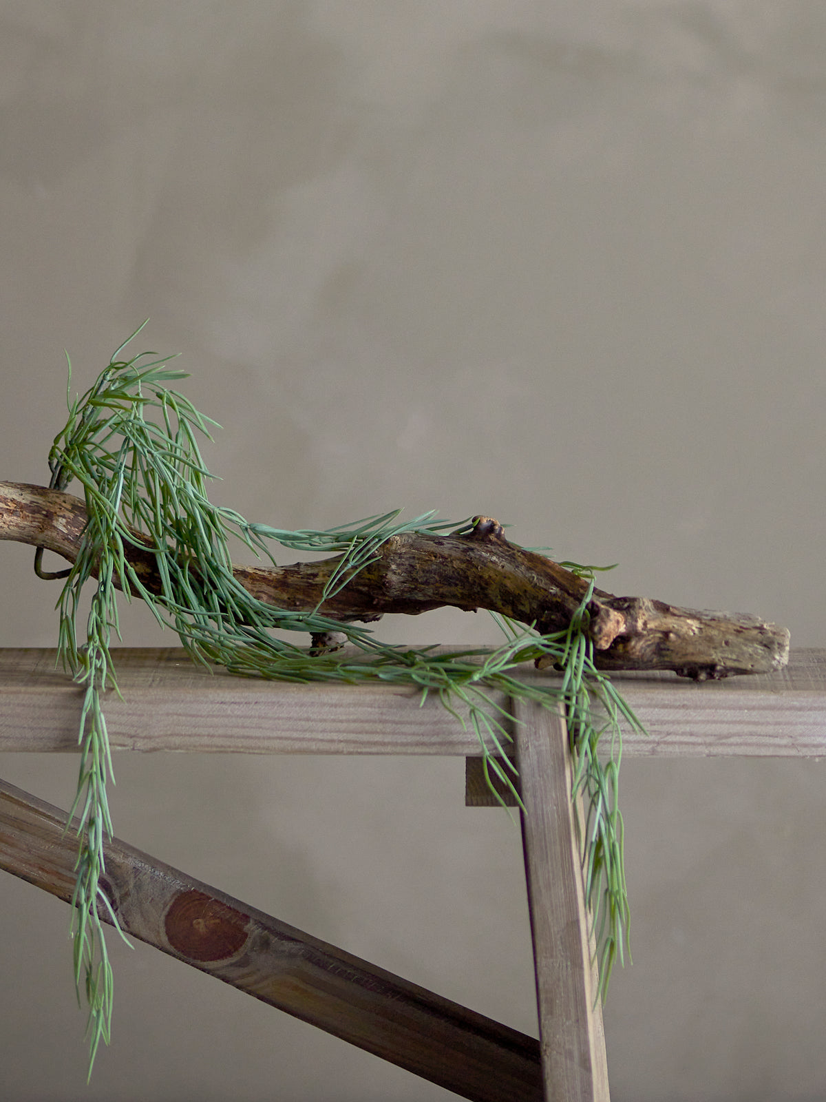 Faux trailing tilandsia displayed in ceramic pot