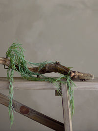 Faux trailing tilandsia displayed in ceramic pot