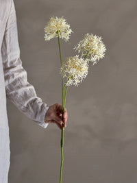 Faux allium flower stem held in hand