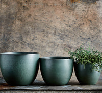 Northern Green Flowerpot L