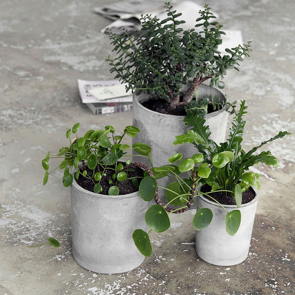 Concrete Planter Set of 3 Light grey