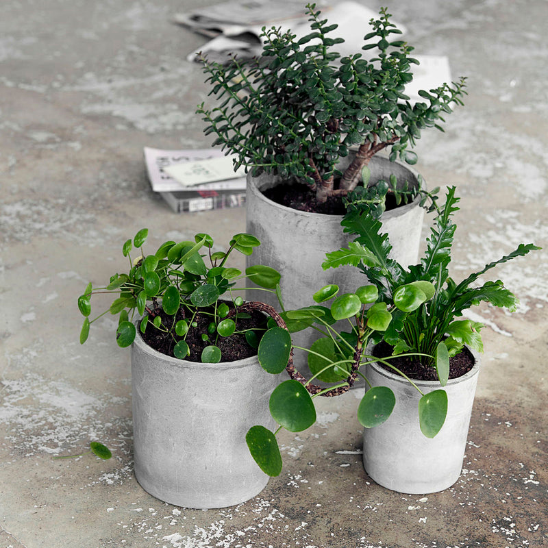 Concrete Planter Set of 3 Light grey