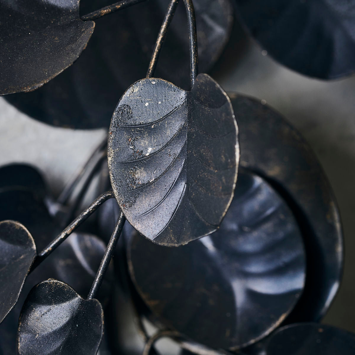 Eucalyptus Black Wreath