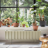 the green object nestled among a number of plants on a bright windowsill