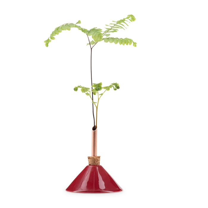 Consilium Vase Berry Red S