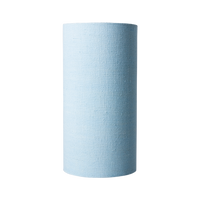 Lamp Shade Ice Blue