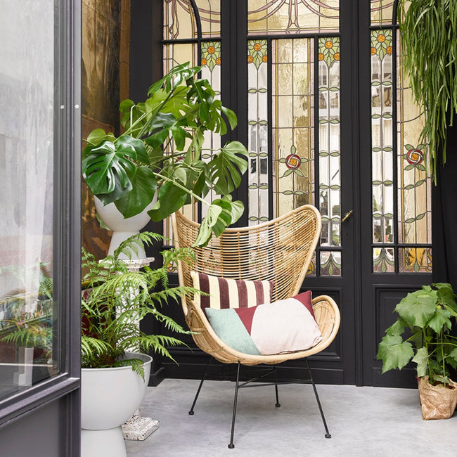 wwicker chair with cushions filling hte seat surrounded by cheese plants and other greenery in a small corner